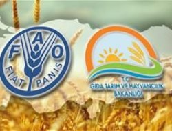 AO Avrupa Bölgesel Konferansı Antalya'da Başlıyor