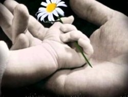 Tüm Anaların Anneler Günü Kutlu Olsun