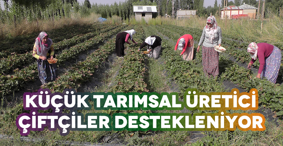 Küçük Tarımsal Üretici Çiftçiler Destekleniyor