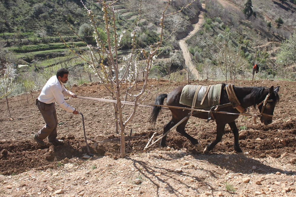 Teknoloji Her Yerde İş Yapmıyor!...