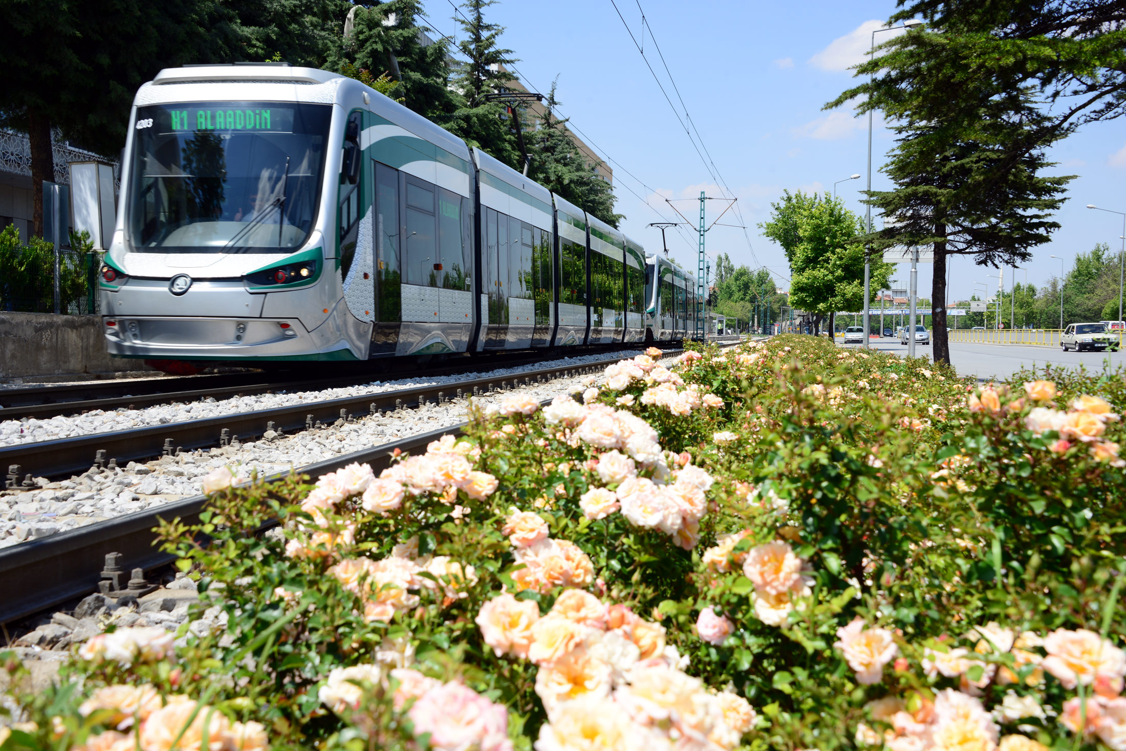 Güller Şehri Konya