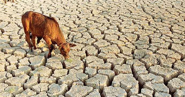 Sinsi Tehlike Çölleşmeye Dikkat
