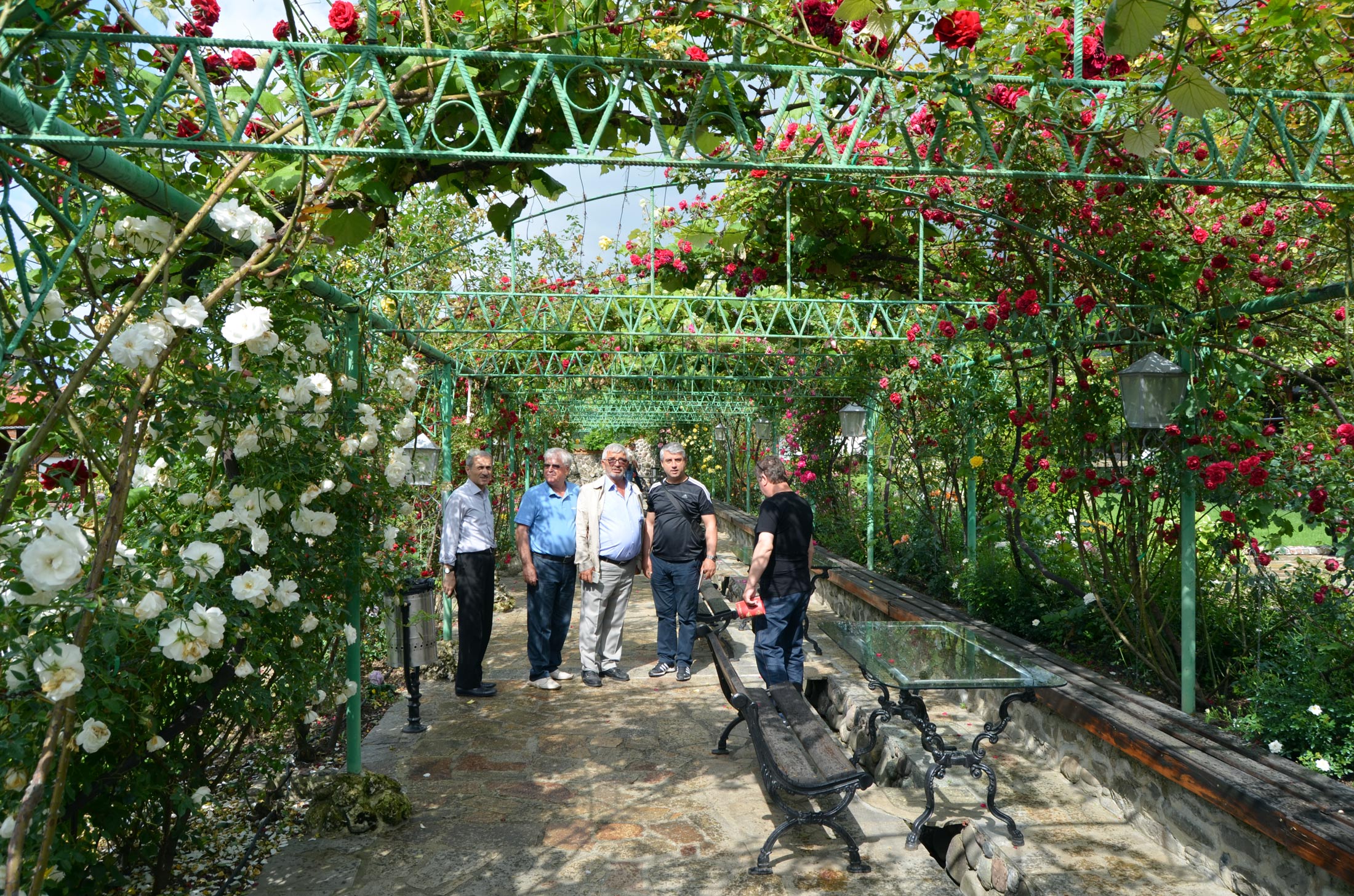 Konya’da Lavanta ve Gül Üretimi Artırılacak