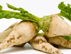 Konya şekerpancarı üretiminde birinci oldu.