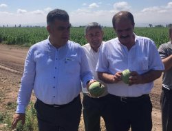 Dolunun Açtığı Zararı Yerinde İncelediler