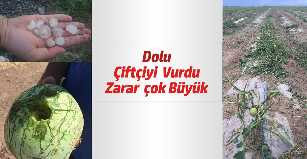 YAĞAN DOLU TARIM ALANLARINI YERLE BİR ETTİ