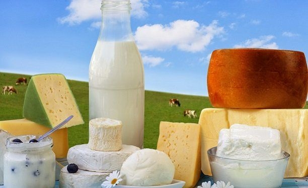 Süt ve Süt Ürünleri Üretimi, Mayıs 2016