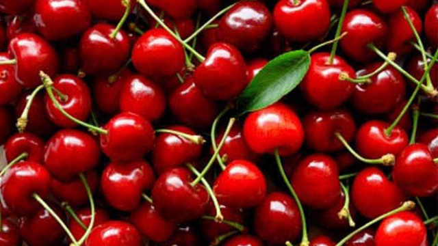 Konya Vişne Üretiminde Türkiye İkincisi