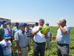 Ereğli’de Kavun-Karpuz Sezonu Açıldı