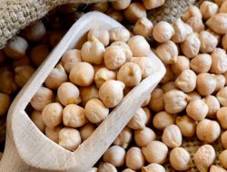 Konya Türkiye’deki nohut üretiminde 3’üncü, Karaman 4’üncü oldu