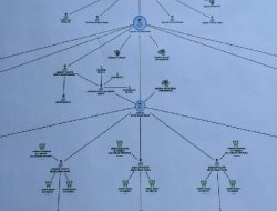 FETÖ'nün şeması ortaya çıktı
