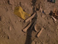 Apartmanın Bodrum Katında Kemik Parçaları Bulundu