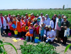 Tarıma Engel Yok Projesi’nde Hasat Mutluluğu