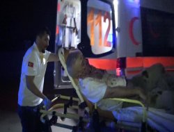 Konya'da Dehşet! Öldüresiye Dövülüp, Mezarlığın Yanına Atıldı