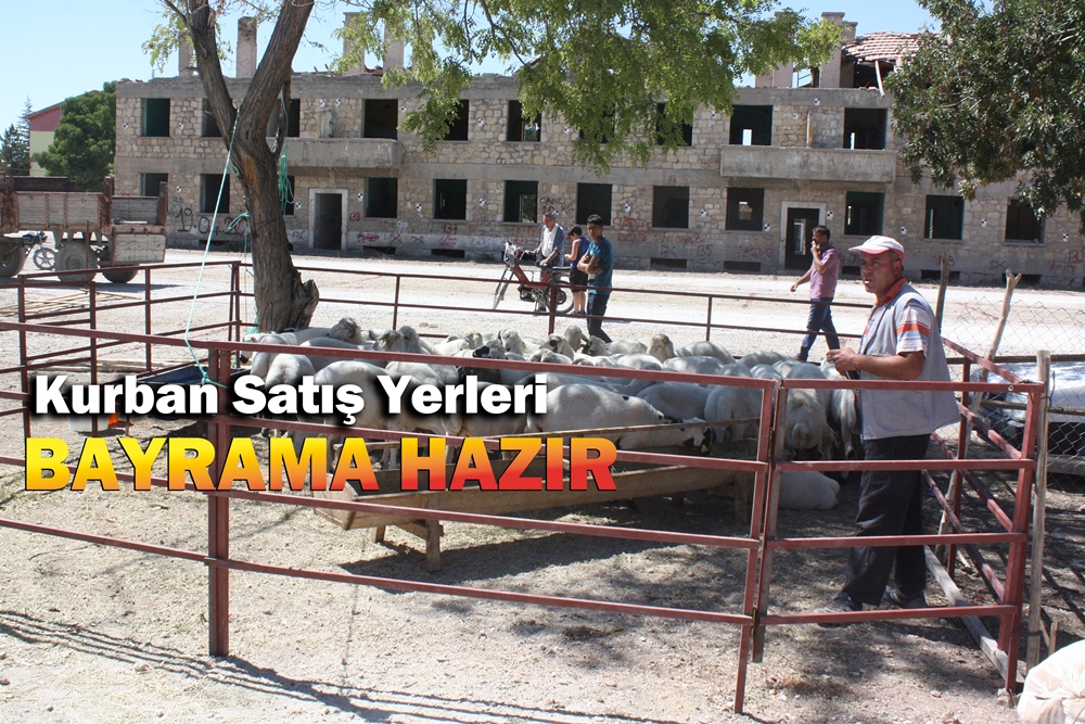 Kurban Satış Yerleri Hazır