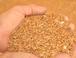 Konya Ticaret Borsası