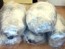 Jandarma Foseptik Çukurunda Uyuşturucu Ele Geçirdi