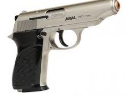 Tartıştığı Ağabeyini Başından Vurarak Öldürdü