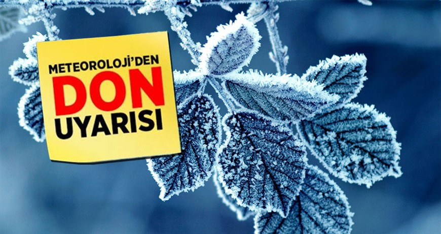 Don Olayı Bekleniyor!