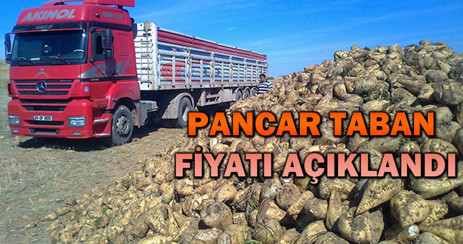 Pancar Taban Fiyatları Açıklandı