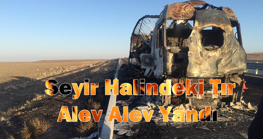 Seyir Halindeki TIR Karayolunda Alev Topuna Döndü!