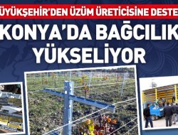 Büyükşehir’den Üzüm Üreticisine Destek