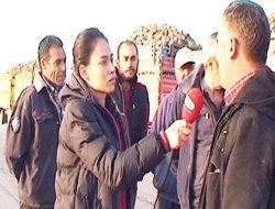 Pancar Teslimi İçin Sıra Bekleyen Üretici Dertli!