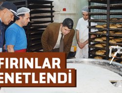 FIRINLARA DENETİM