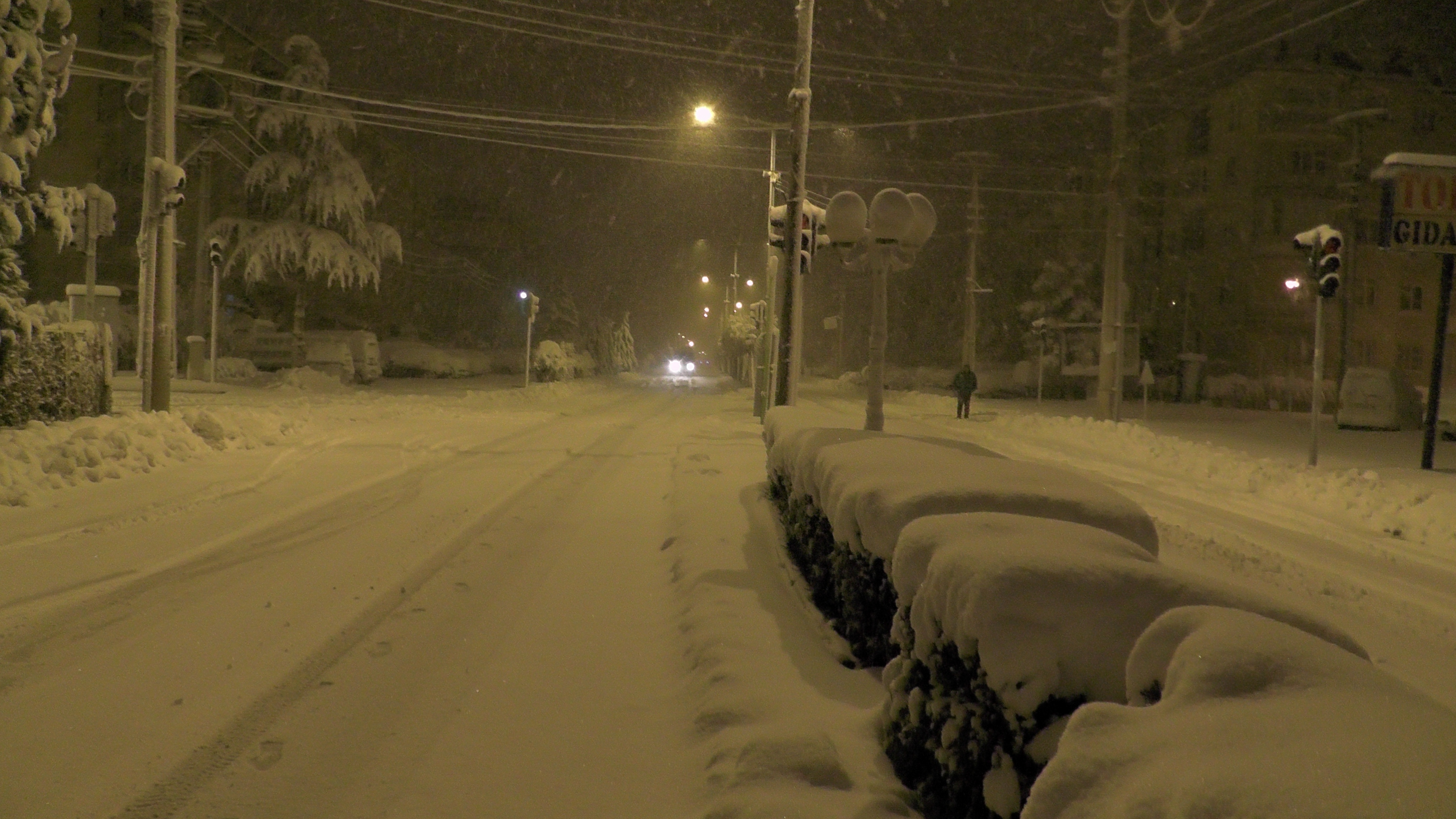 Ereğli De Tipi Ve Fırtına Etkili Oldu