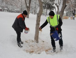 Kuşlara ve Sahipsiz Hayvanlara Yem Bırakılıyor