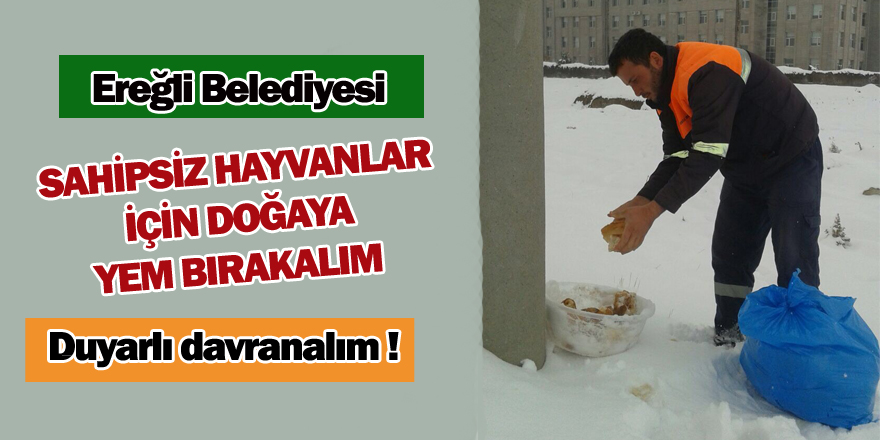 Sahipsiz Hayvanlara Yem Bırakalım!..