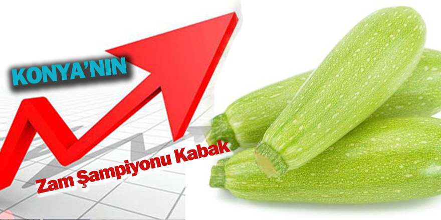 Konya'nın Zam Şampiyonu Kabak