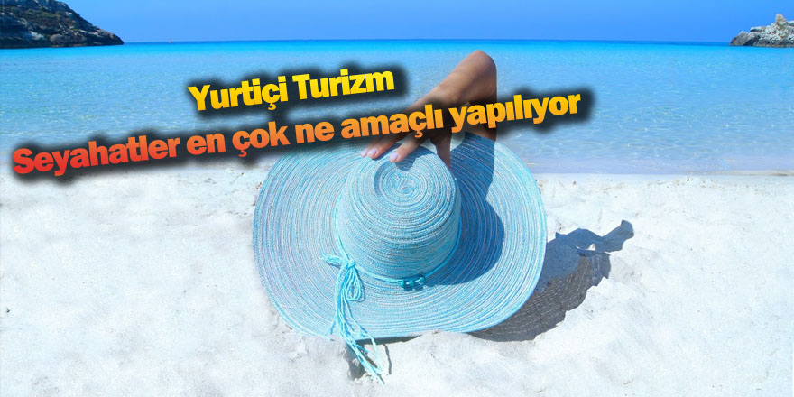 Yurt İçi seyahatler Bakın En çok ne için yapılıyor