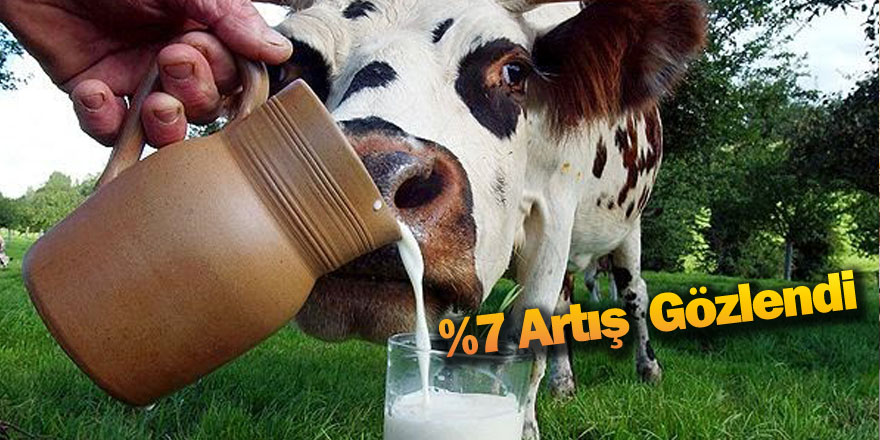 Büyükbaş hayvan sayısı 14 milyon 222 bin baş oldu