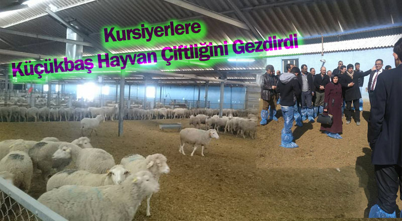 Soylu Kursiyerlere Küçükbaş Hayvan Çiftliğini Gezdirdi