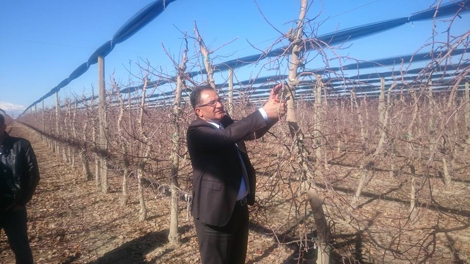 Ağaç Budama Sezonu Başladı