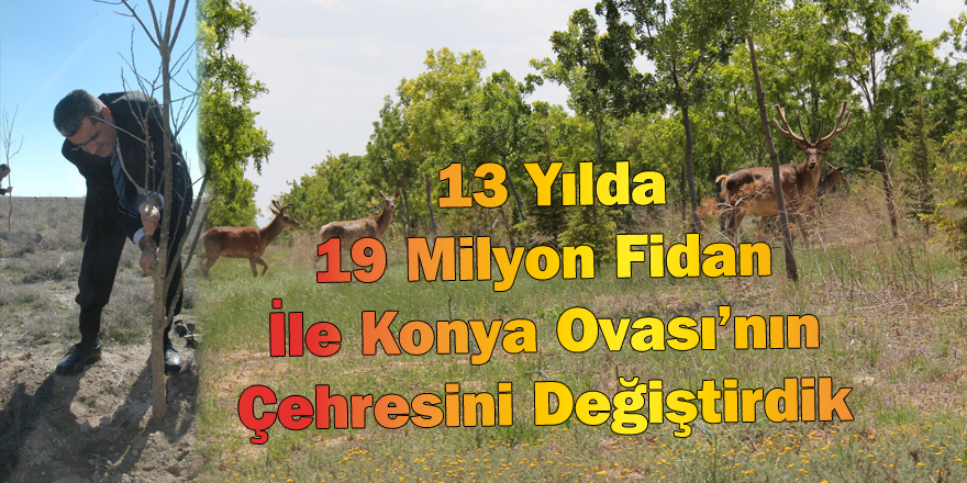 19 Milyon Fidan İle Konya Ovası’nın Çehresini Değiştirdi
