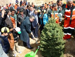 5 Milyon Fidan Toprakla Buluşuyor