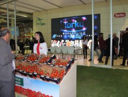 TORKU NO:1’İN TAKLİTLERİÜRDÜN’DE YES:1 MARKASIYLA SATIŞTA