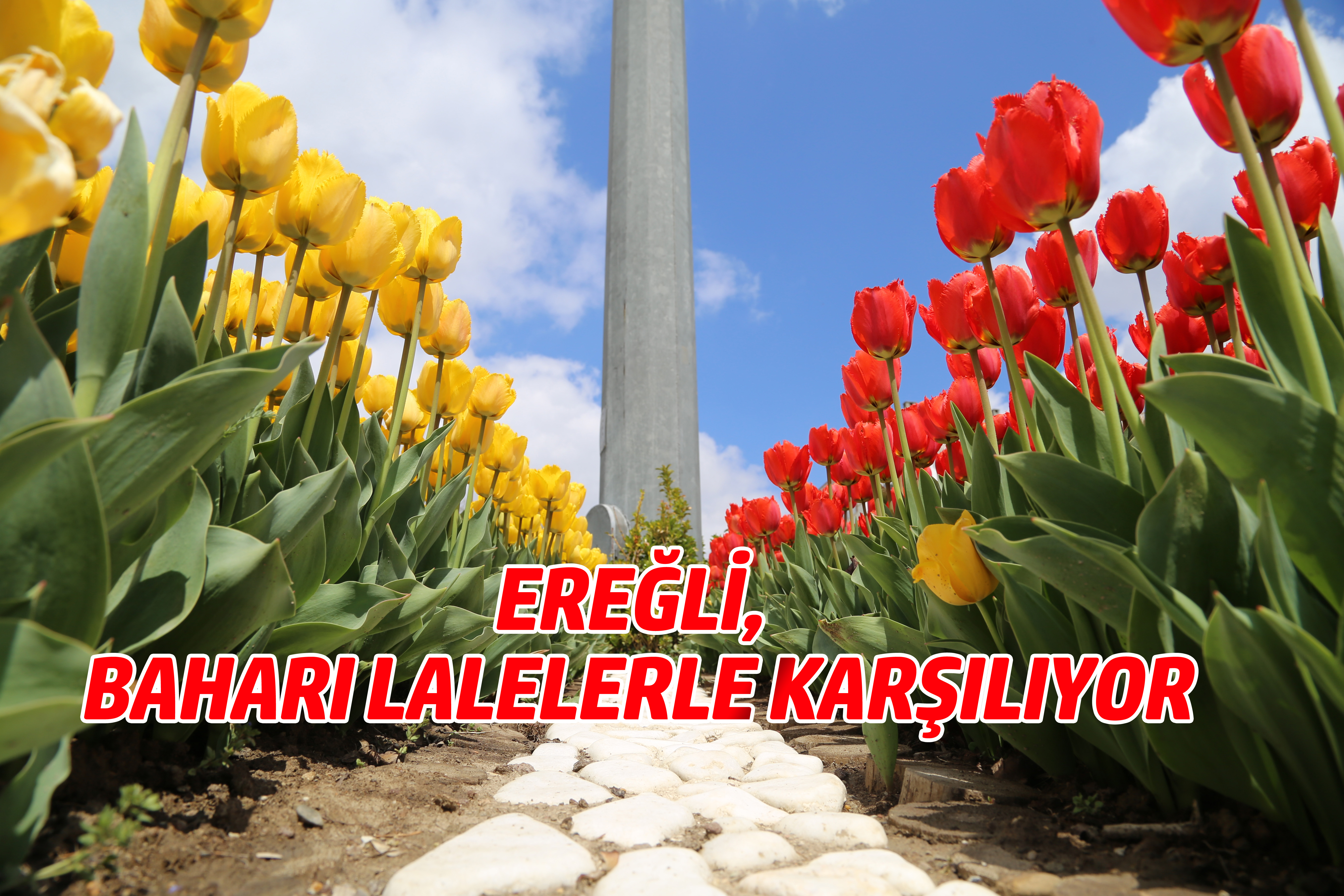 EREĞLİ, BAHARI LALELERLE KARŞILIYOR