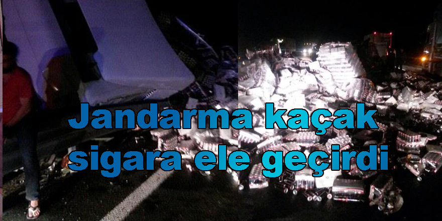 Jandarma kaçak sigara ele geçirdi