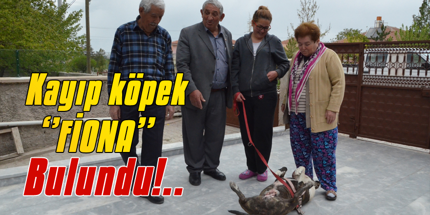 Kayıp köpek ‘’FİONA’’nun sahibiyle buluşması duygulandırdı!