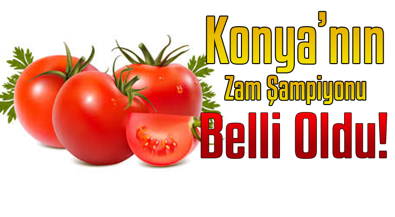 KONYA'NIN ZAM ŞAMPİYONU BELLİ OLDU