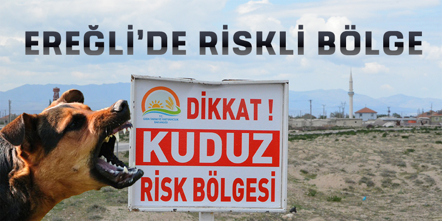 ADABAĞ MAHALLESİNDE KUDUZ VAKASI