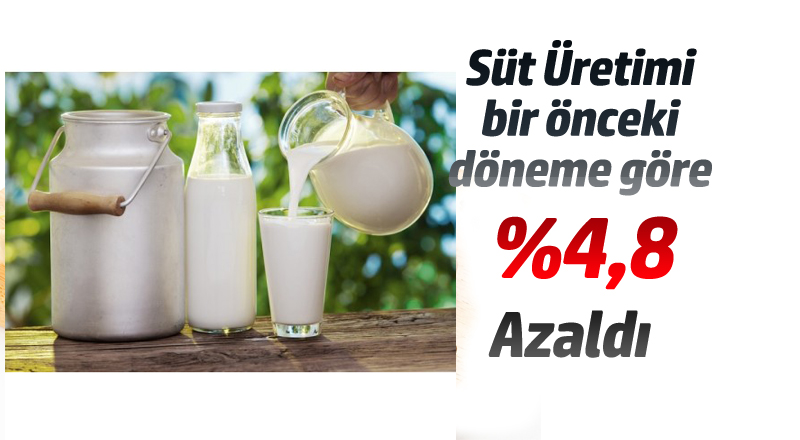 Süt Ürünleri Üretimi,%5 Azaldı