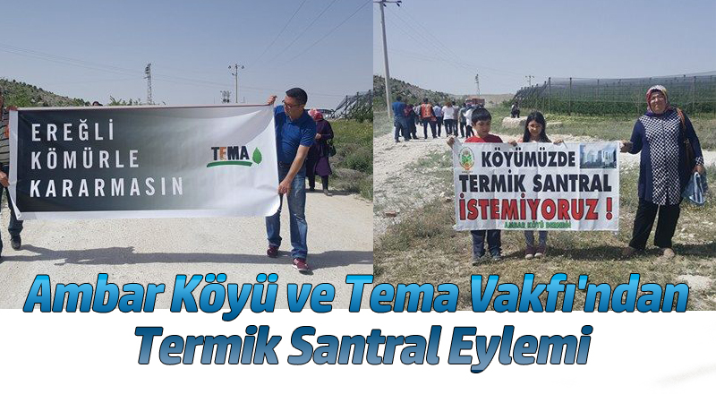 Tema Vakfı'ndan Termik Santral Eylemi