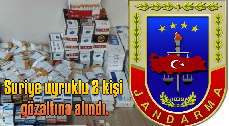 JANDARMA 1500 PAKET KAÇAK SİGARA ELE GEÇİRDİ