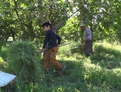 ‘DEVLET DESTEĞİ İSTEMİYORUM’