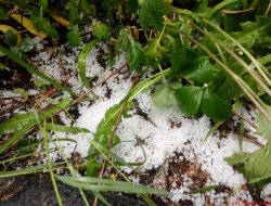 Osman Köseli’de dolu meyve bahçelerini vurdu