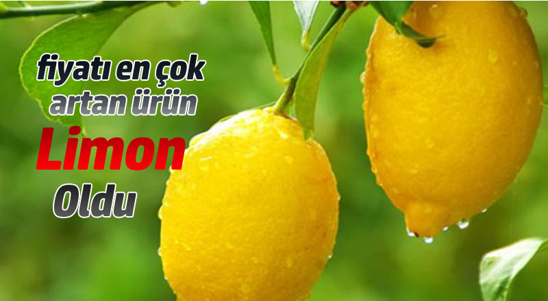 İstatistik Kurumu Mayıs ayı TÜFE verilerini açıkladı